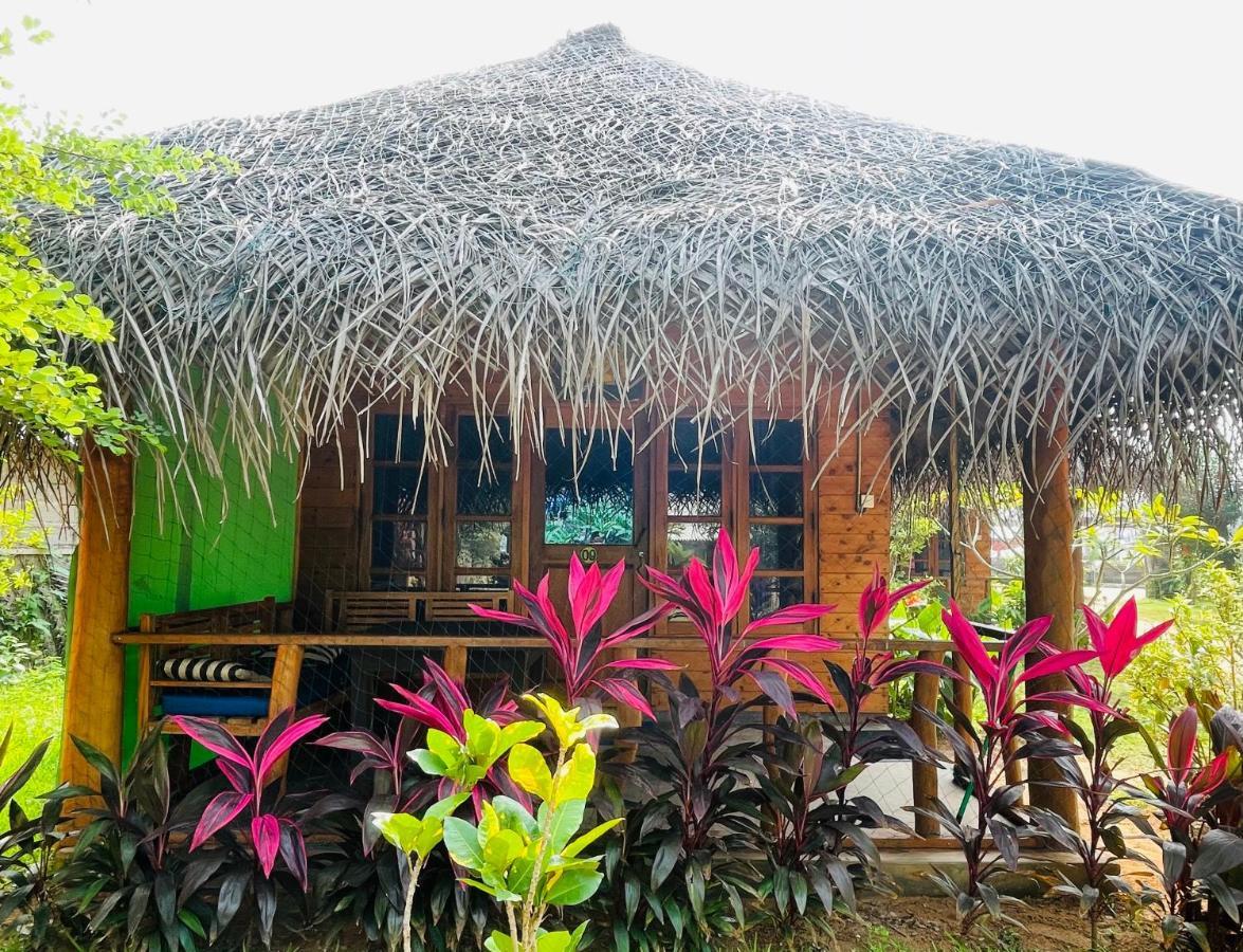 Vitamin Sea Beach Cabana Nilaveli Exteriér fotografie